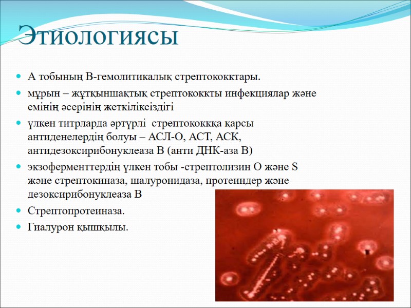 Этиологиясы   А тобының В-гемолитикалық стрептококктары. мұрын – жұтқыншақтық стрептококкты инфекциялар және емінің